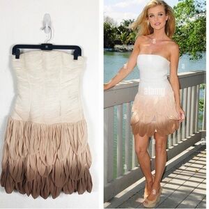 Bebe ombré ruffle dress size small